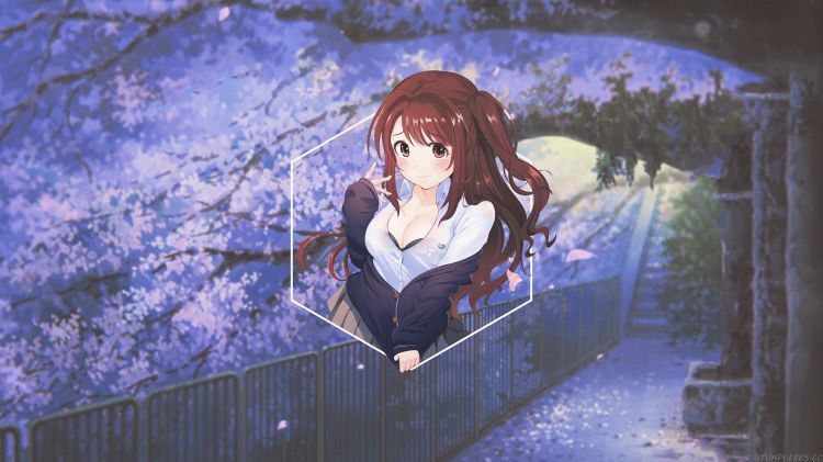 🕵️♂️ 核心功能与获取方式 🕵️♂️ 核心功能与获取方式